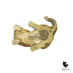 Vienna Bronze hondje Oostenrijks coldpainted miniatuur ca 1900 4