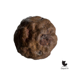 IJzeroxide concretie Natuurlijke ijzersteen uit Normandië Sculpturale ironstone nodule 1